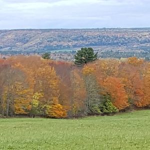 Meet your Posher, Lorraine